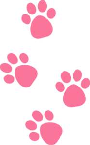4-paws